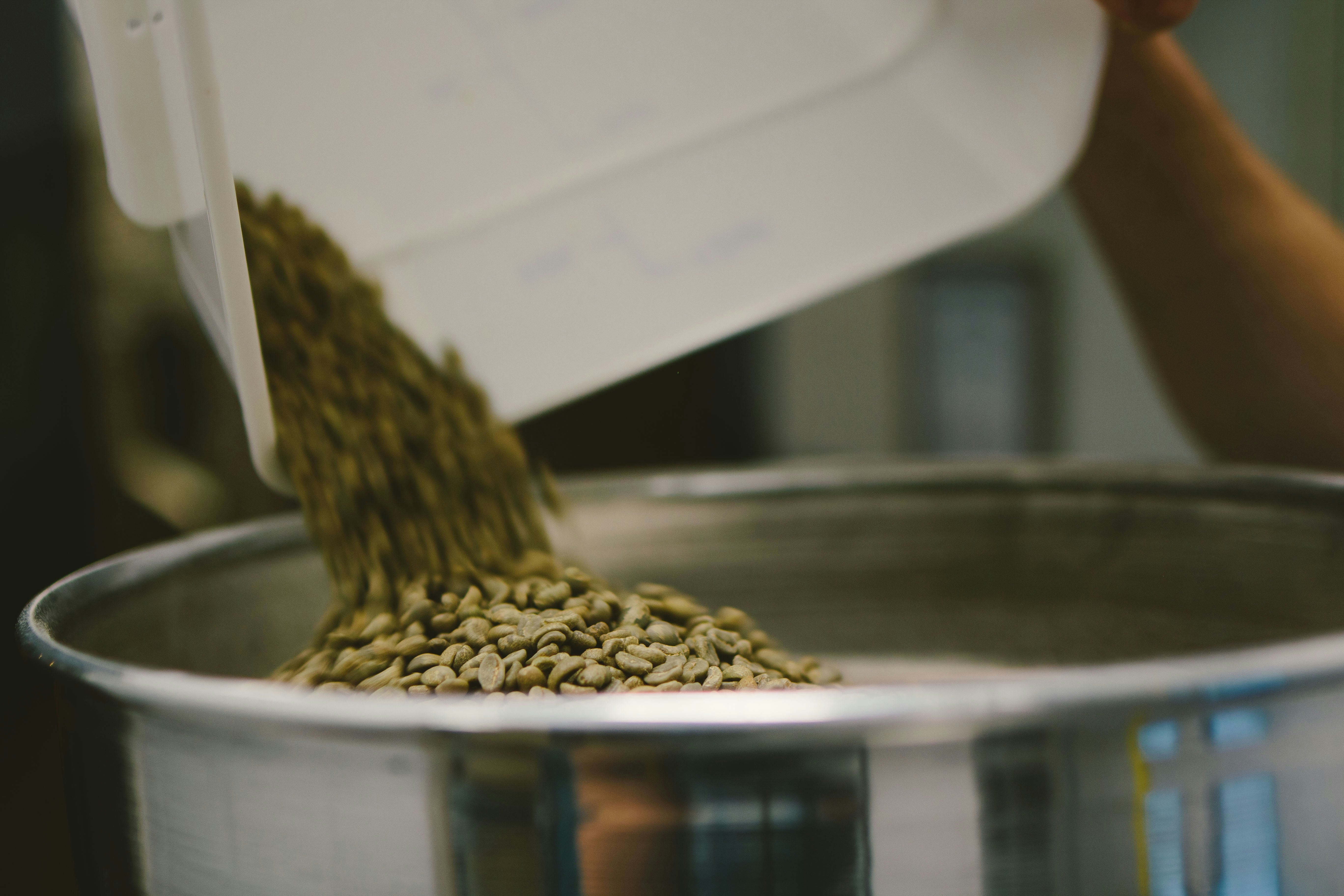 Indian green coffee ready for export
